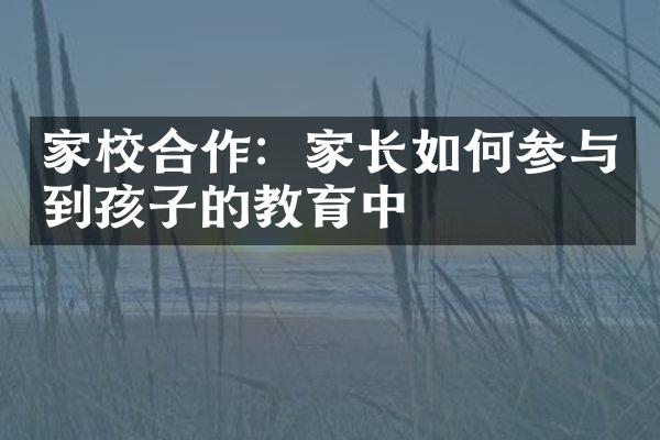 家校合作：家长如何参与到孩子的教育中