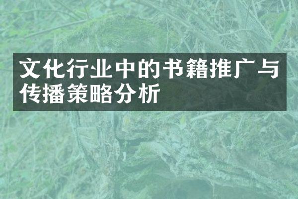 文化行业中的书籍推广与传播策略分析