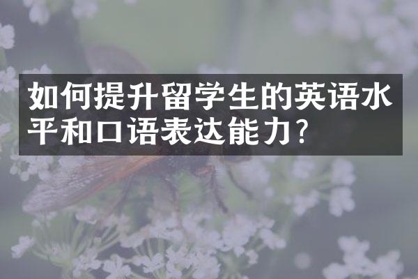 如何提升留学生的英语水平和口语表达能力？