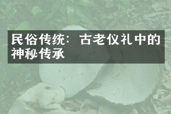 民俗传统：古老仪礼中的神秘传承