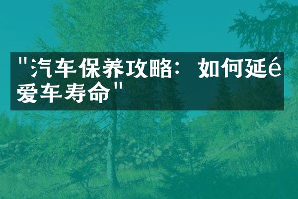 "汽车保养攻略：如何延长爱车寿命"