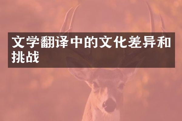 文学翻译中的文化差异和挑战