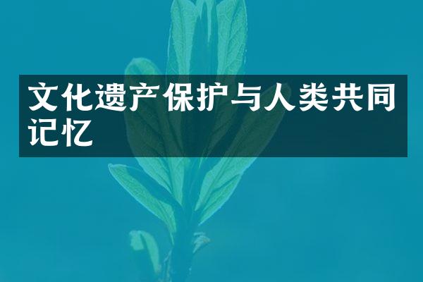 文化遗产保护与人类共同记忆