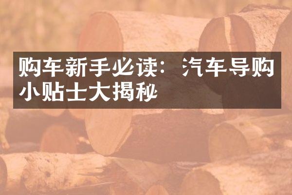 购车新手必读：汽车导购小贴士揭秘