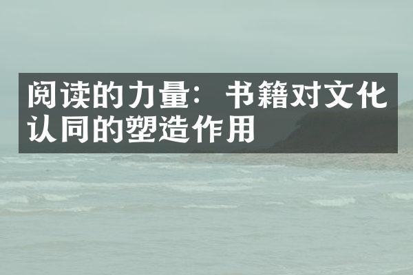 阅读的力量：书籍对文化认同的塑造作用