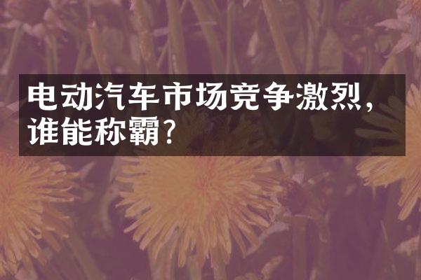 电动汽车市场竞争激烈，谁能称霸？