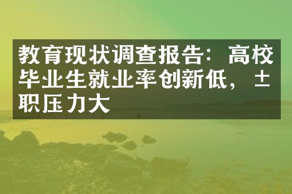 教育现状调查报告：高校毕业生就业率创新低，求职压力大