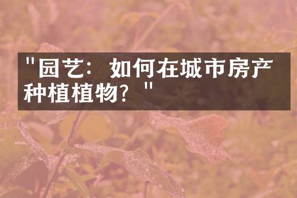 "园艺：如何在城市房产中种植植物？"