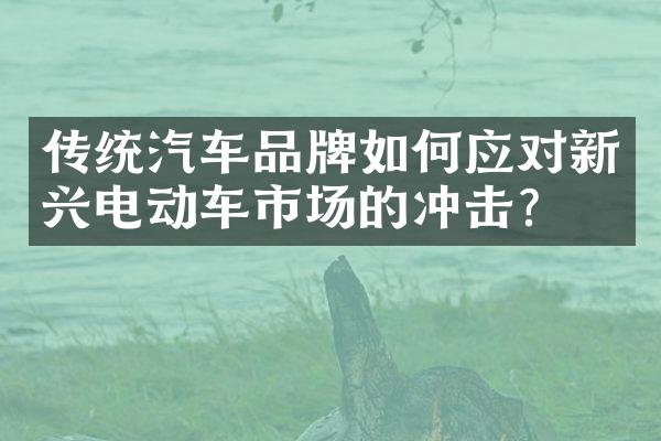 传统汽车品牌如何应对新兴电动车市场的冲击？