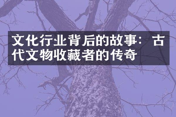 文化行业背后的故事：古代文物收藏者的传奇