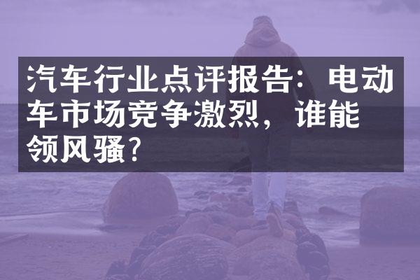 汽车行业点评报告：电动车市场竞争激烈，谁能独领风骚？