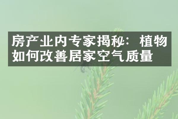 房产业内专家揭秘：植物如何改善居家空气质量