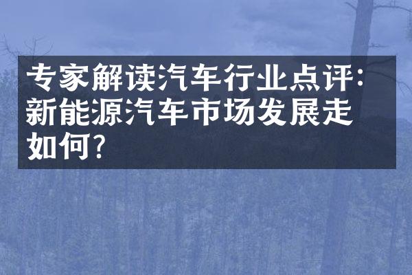 专家解读汽车行业点评：新能源汽车市场发展走势如何？