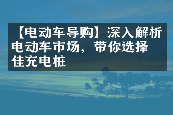 【电动车导购】深入解析电动车市场，带你选择最佳充电桩