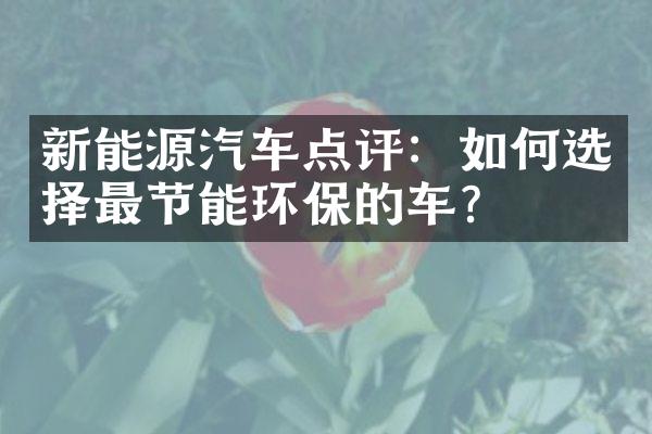 新能源汽车点评：如何选择最节能环保的车？