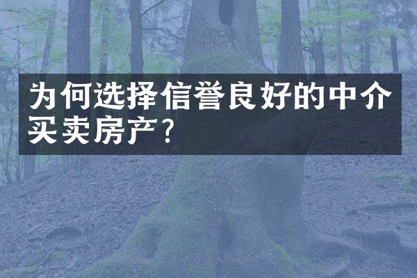 为何选择信誉良好的中介买卖房产？