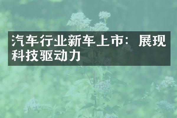 汽车行业新车上市：展现科技驱动力