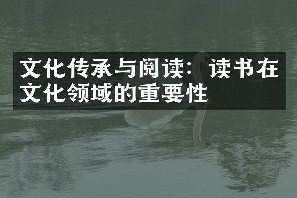 文化传承与阅读：读书在文化领域的重要性