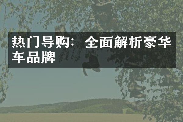 热门导购：全面解析豪华车品牌