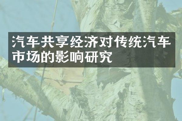 汽车共享经济对传统汽车市场的影响研究