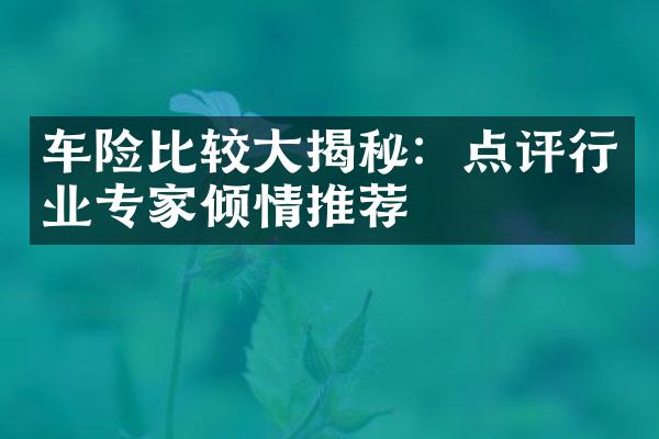 车险比较大揭秘：点评行业专家倾情推荐