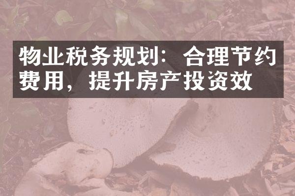 物业税务规划：合理节约费用，提升房产投资效益