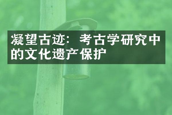 凝望古迹：考古学研究中的文化遗产保护