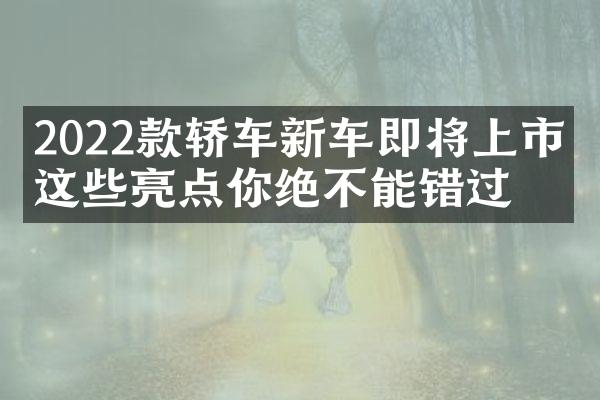 2022款轿车新车即将上市，这些亮点你绝不能错过