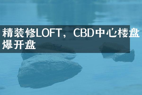 精装修LOFT，CBD中心楼盘火爆开盘