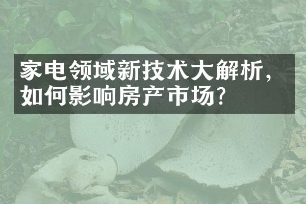 家电领域新技术大解析，如何影响房产市场？