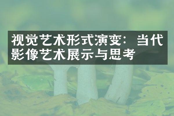 视觉艺术形式演变：当代影像艺术展示与思考