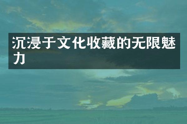 沉浸于文化收藏的无限魅力