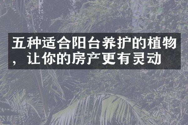 五种适合阳台养护的植物，让你的房产更有灵动