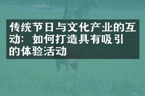 传统节日与文化产业的互动：如何打造具有吸引力的体验活动