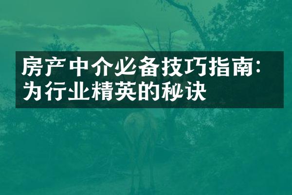 房产中介必备技巧指南: 成为行业精英的秘诀