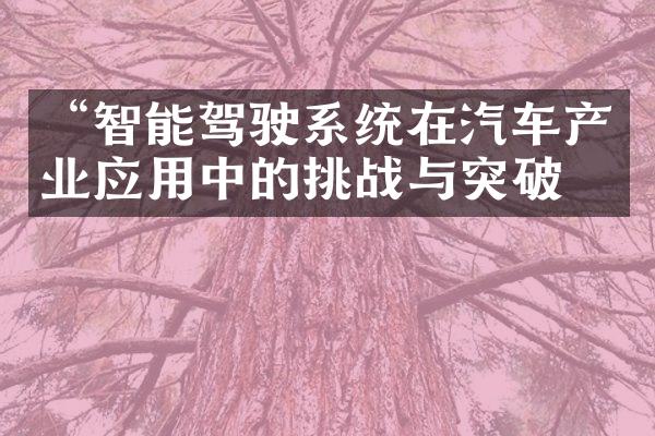 “智能驾驶系统在汽车产业应用中的挑战与突破”