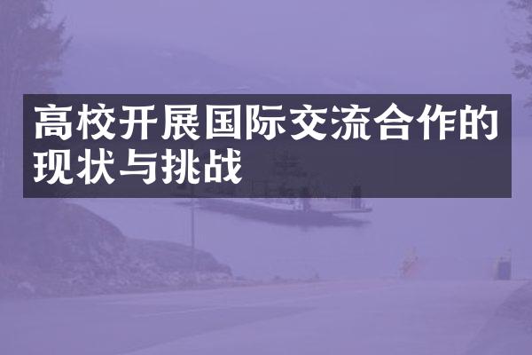 高校开展国际交流合作的现状与挑战