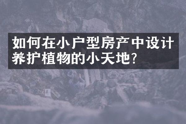 如何在小户型房产中设计养护植物的小天地？