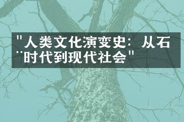 "人类文化演变史：从石器时代到现代社会"