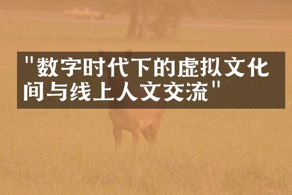 "数字时代下的虚拟文化空间与线上人文交流"