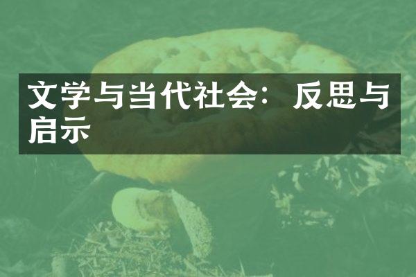 文学与当代社会：反思与启示