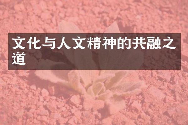 文化与人文精神的共融之道