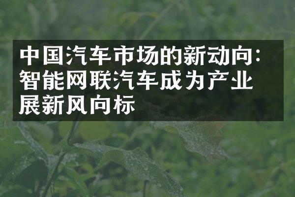 汽车市场的新动向：智能网联汽车成为产业发展新风向标