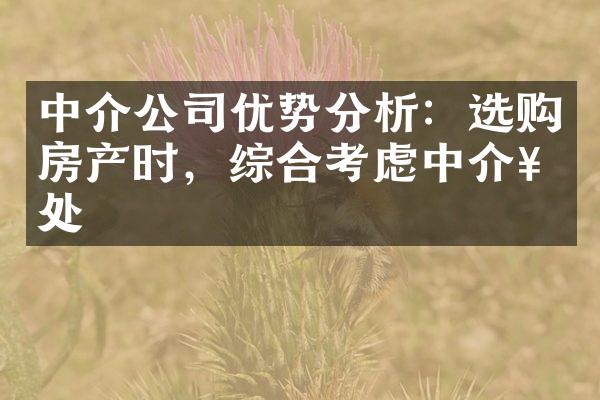 中介公司优势分析：选购房产时，综合考虑中介好处