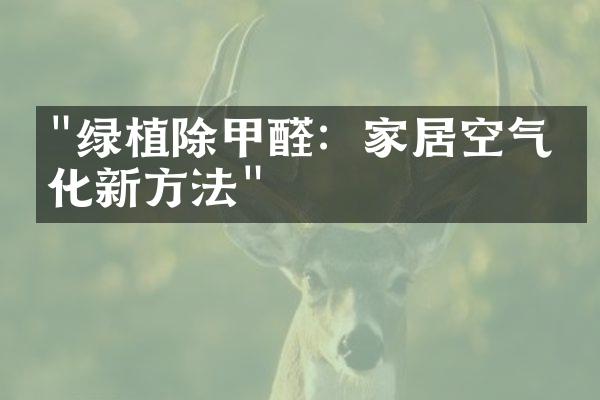 "绿植除甲醛：家居空气净化新方法"