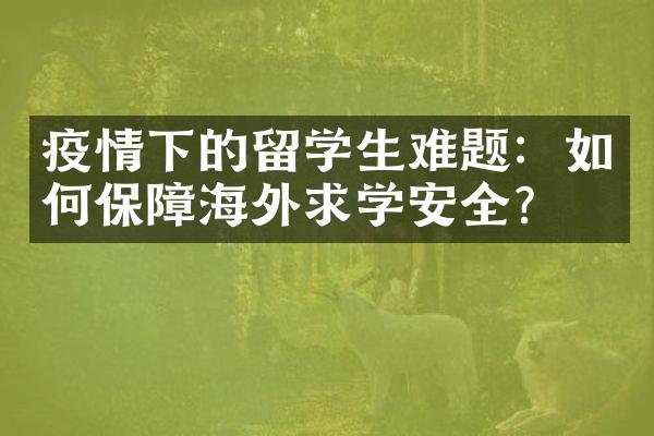 疫情下的留学生难题：如何保障海外求学安全？