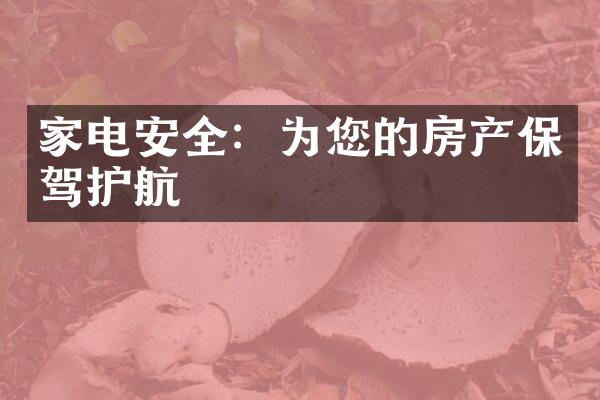 家电安全：为您的房产保驾护航