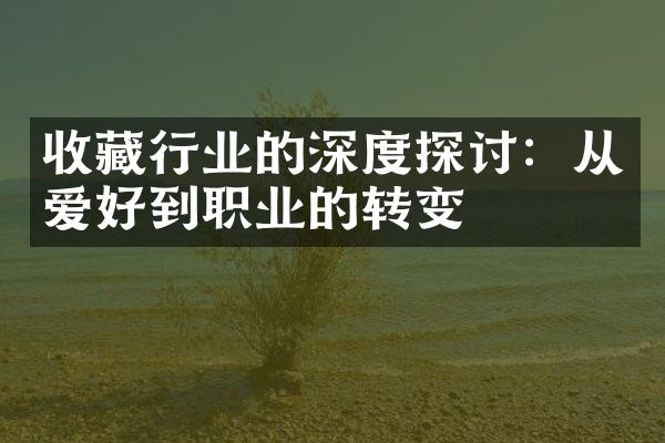 收藏行业的深度探讨：从爱好到职业的转变