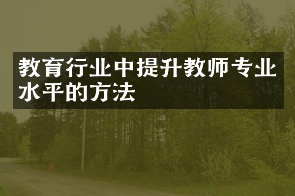 教育行业中提升教师专业水平的方法