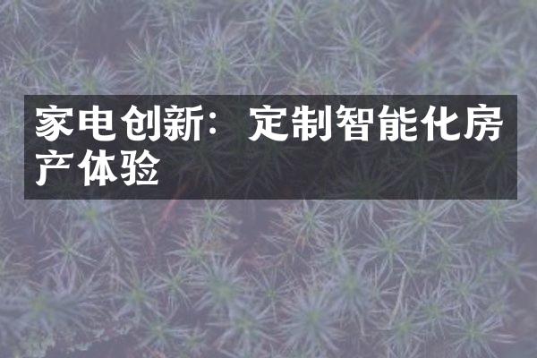 家电创新：定制智能化房产体验